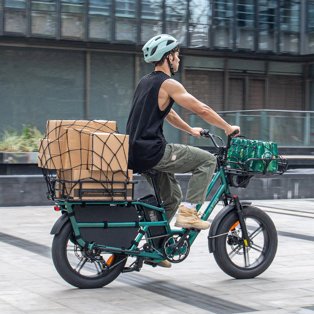 Fiido T2 Cargo - Image 6