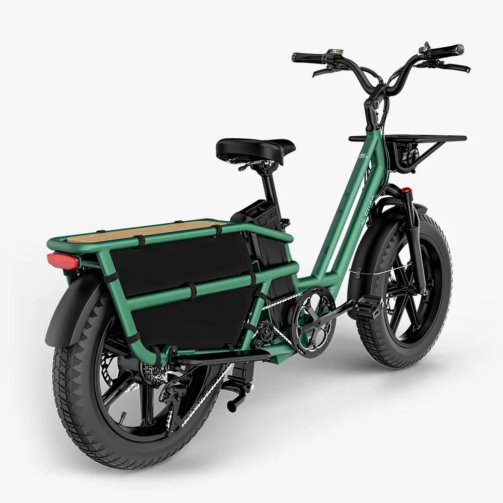 Fiido T2 Cargo - Image 3