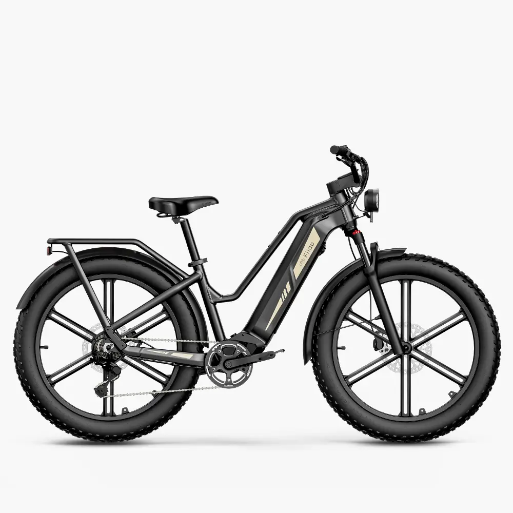 Fiido Titan Fat Tire Hunting and Touring Ebike