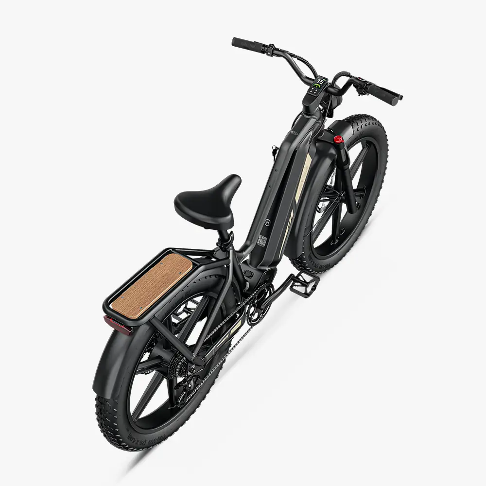 Fiido Titan Fat Tire Hunting and Touring Ebike - Image 4